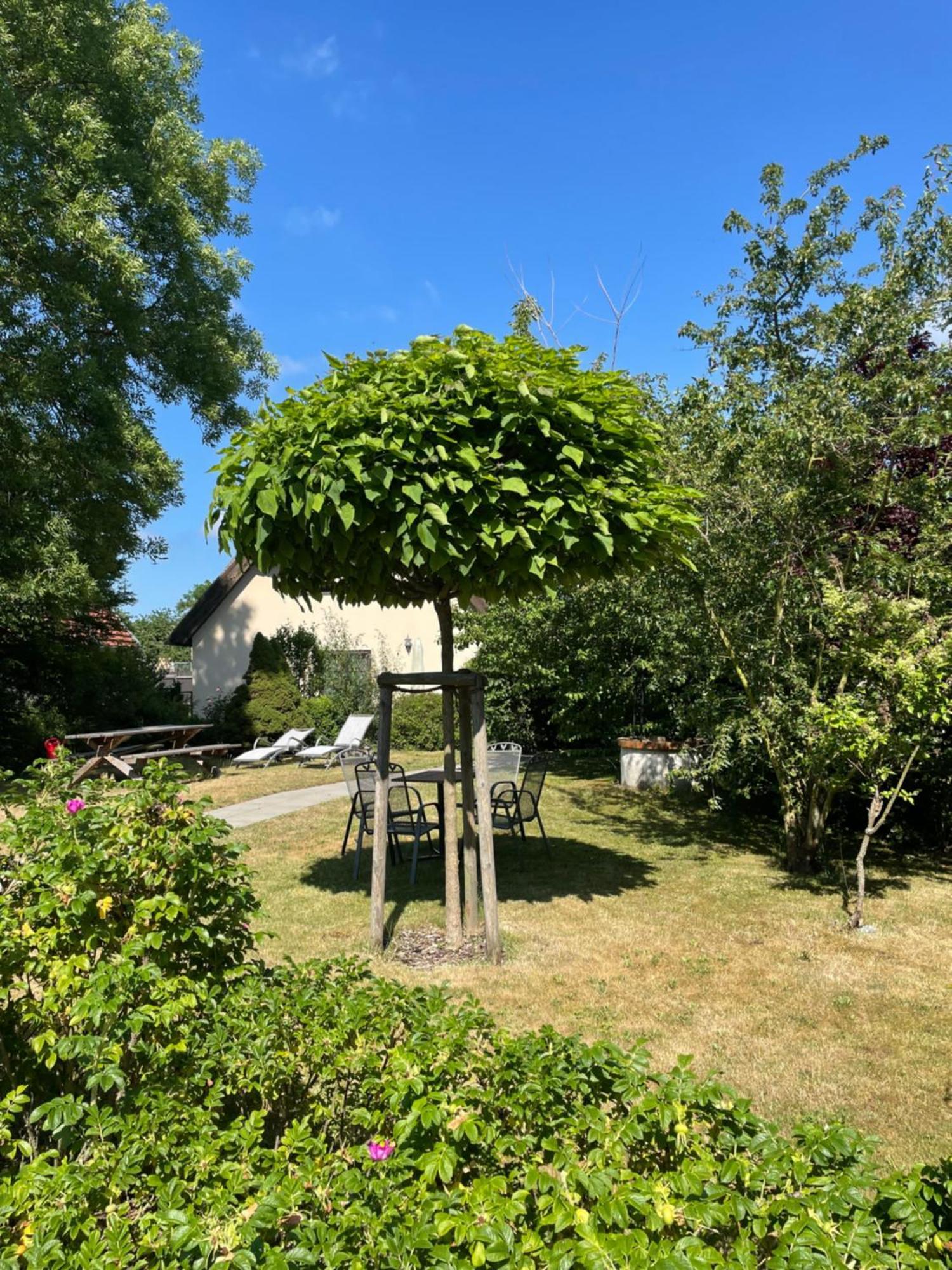 Fischerhus In Krummin - Nur Fuer Urlauber Exterior foto