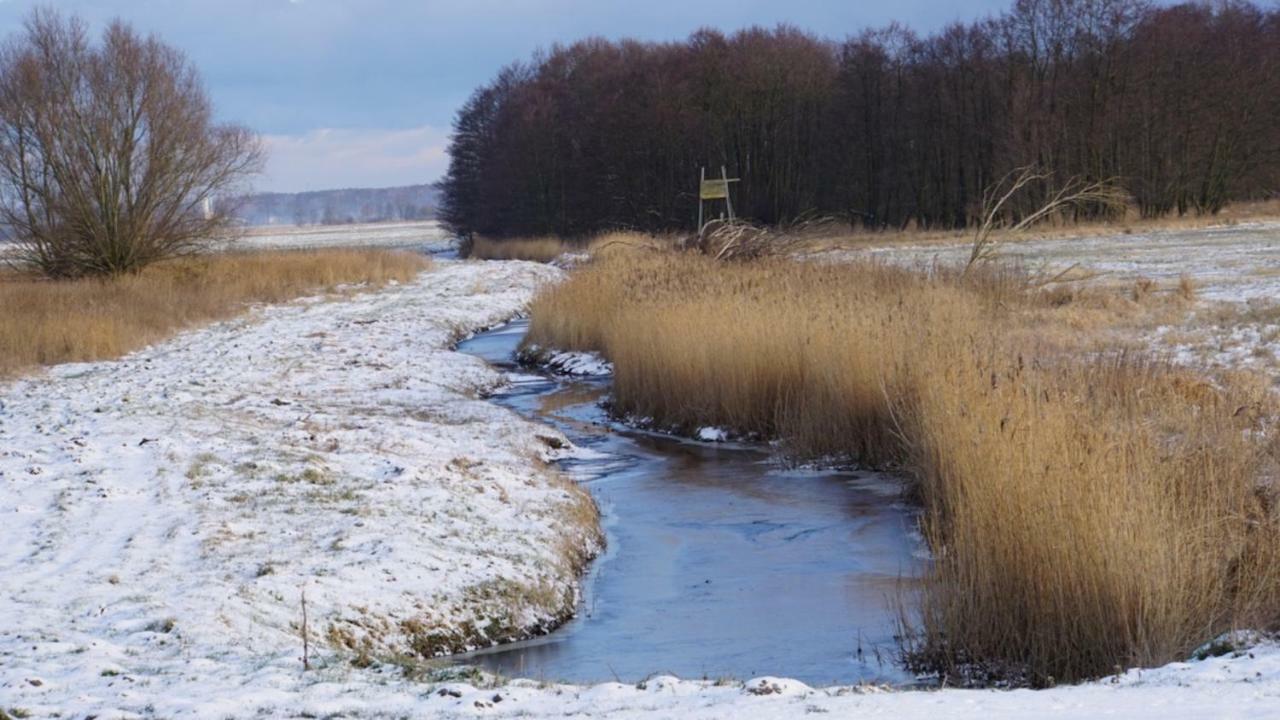 Fischerhus In Krummin - Nur Fuer Urlauber Exterior foto